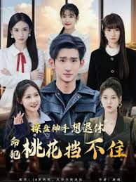 操盘神手想退休，命犯桃花挡不住(全集)