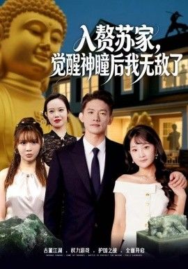 赘苏家，觉醒神瞳后我无敌了(全集)