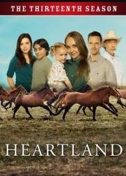 心灵之地第十三季(全集)