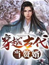 穿越古代当赘婿41-60集