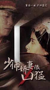 少帅娇妻很凶猛1-20集