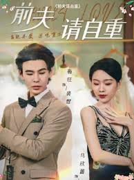 前夫请自重全集(大结局)