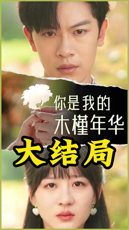 你是我的木槿年华全集 (上)