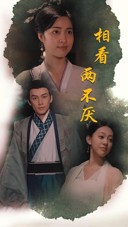 相看两不厌&这个王妃不好惹全集(大结局)