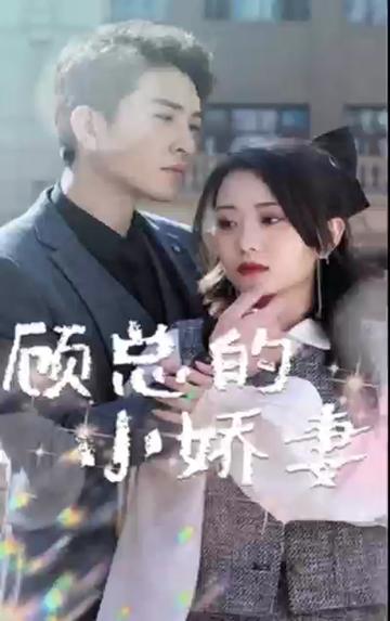 顾总的小娇妻全集(大结局)