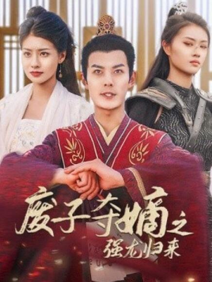 废子夺嫡之强龙归来第23集
