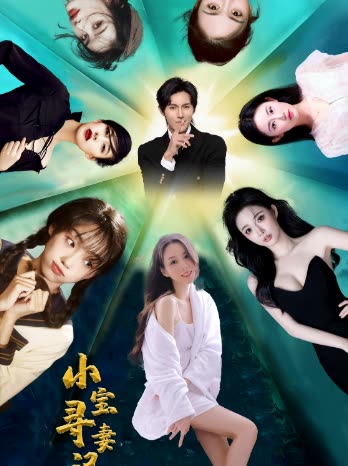 小宝寻妻记全集(大结局)