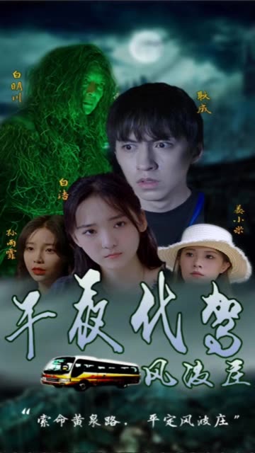 午夜代驾全集(大结局)