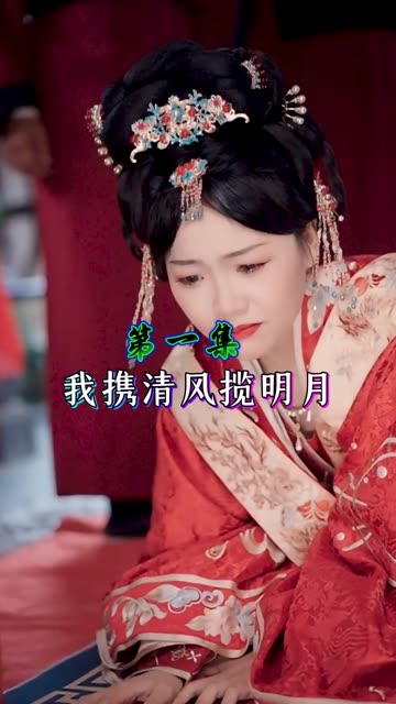 我携清风揽明月全集(大结局)