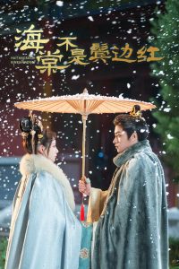 海棠不是鬓边红第1集